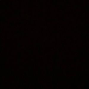 Meet your Posher, Ben